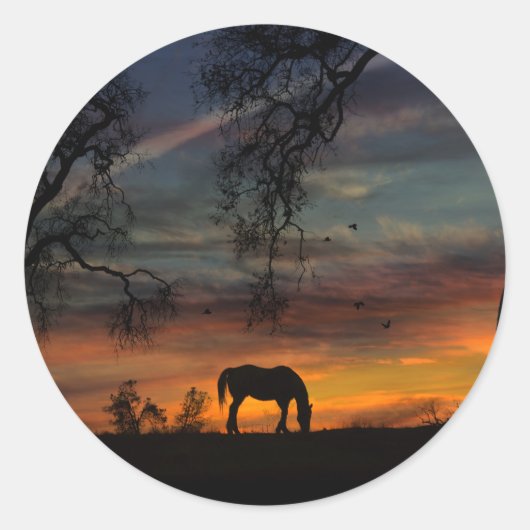 Stickers Cheval et Oiseaux (Devant)