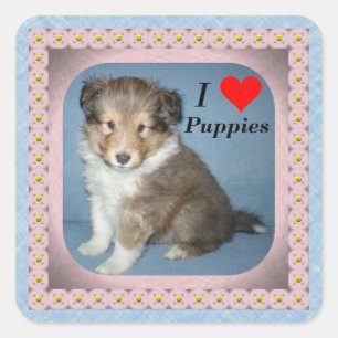 Stickers Chien Chien Chien Chien Chien Chien Migno