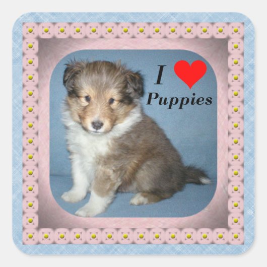 Stickers Chien Chien Chien Chien Chien Chien Migno (Devant)