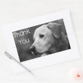 Stickers Chien Chien Chien Chien Merci Labrador (Enveloppe)