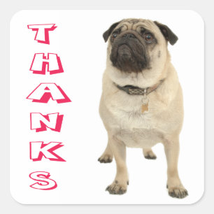 Stickers Chien Chien Merci Carlin / Sceau