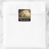 Stickers Chien Chien Merci Poméranie / Étiquettes (Sac)