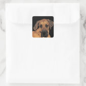 Stickers Chien Danois (Sac)
