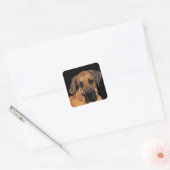 Stickers Chien Danois (Enveloppe)