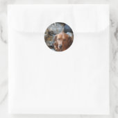 Stickers Chien de l'armée (Sac)