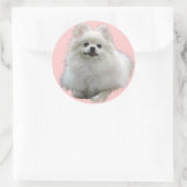Stickers Chien Lrg (Sac)