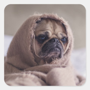 stickers Chien mignon 3