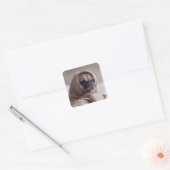 stickers Chien mignon 3 (Enveloppe)