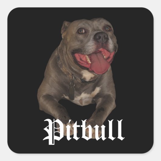 Stickers Chien Pitbull (Devant)