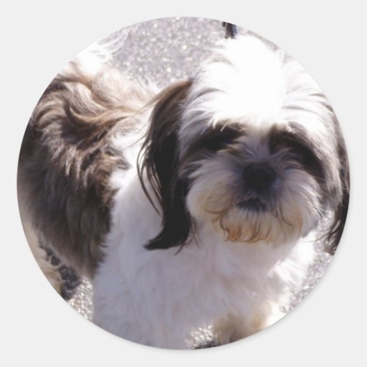 Stickers Chih Tsu (Devant)