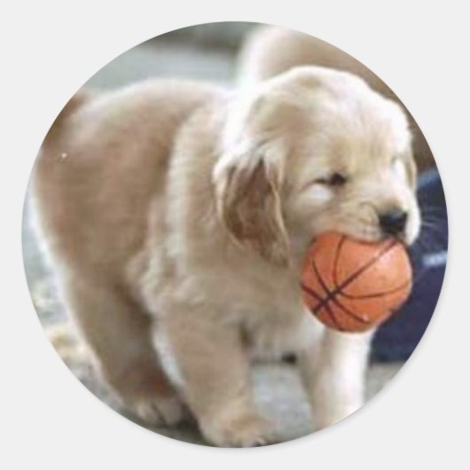 Stickers Chiot (Devant)