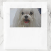 Stickers Chiot Maltais (Sac)