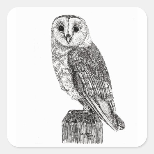Stickers Chouette 2 (Devant)