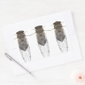 Stickers cicada (Enveloppe)