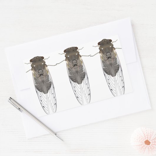 Stickers cicada (Enveloppe)