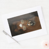 Stickers Cigar Fumant Foin Cheval Humoristique (Enveloppe)