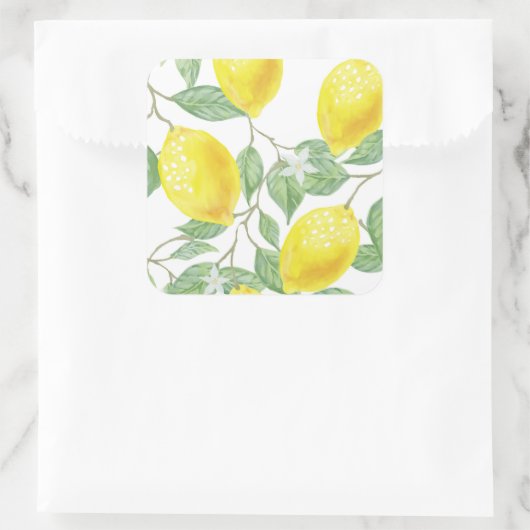 Stickers citrons et Feuilles (Sac)