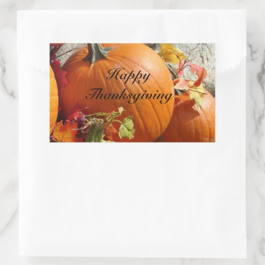 Stickers Citrouille Rectangle bon thanksgiving (Sac)