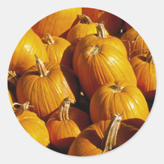 Stickers citrouilles