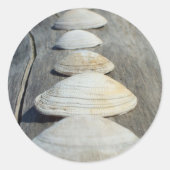 Stickers Clam Shells (Devant)