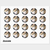 Stickers Cleo (Feuille)