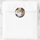 Stickers Cleo (Sac)