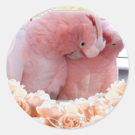 Stickers Cockatoos Roses (Devant)