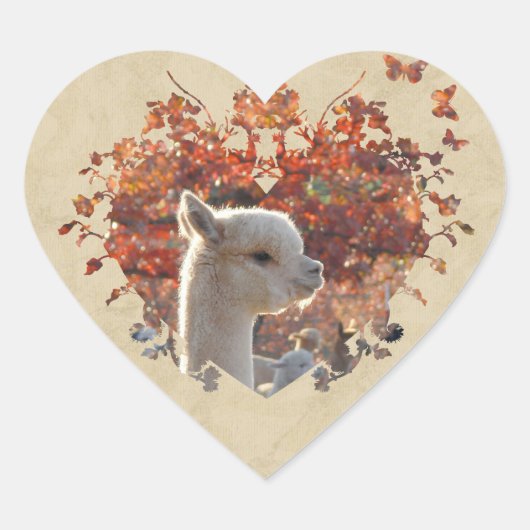 Stickers Coeur Alpaca (Devant)