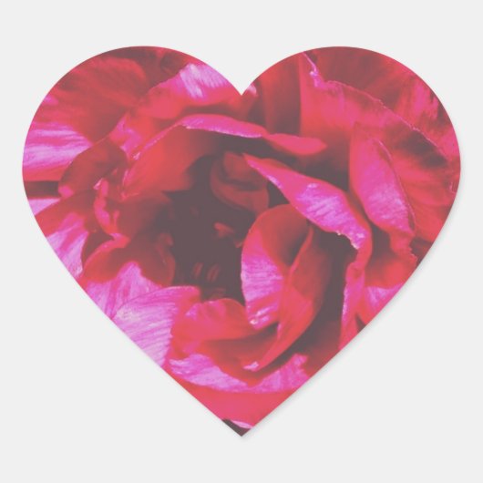 Stickers Coeur Rose Rosy (Devant)