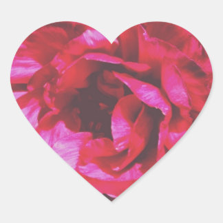 Stickers Coeur Rose Rosy