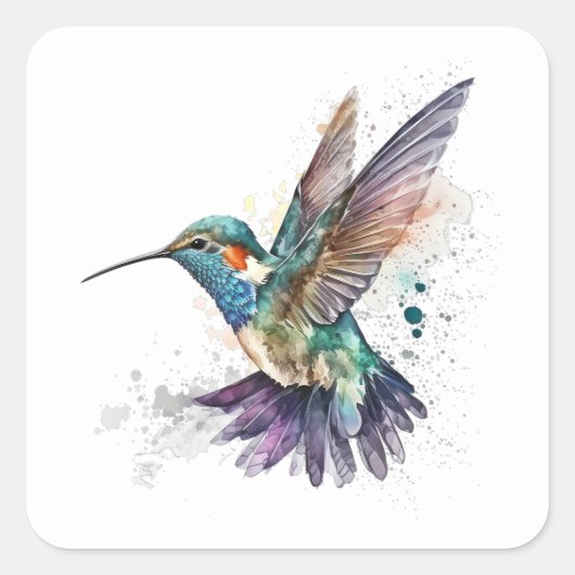 Stickers Colibri Aquarelle (Devant)