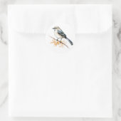 Stickers Colibri Colibri (Sac)