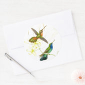 Stickers Colibris Goulds (Enveloppe)