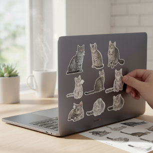 Stickers Collection Cute Tabby Cat