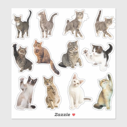 Stickers Collection de chats (Feuille)