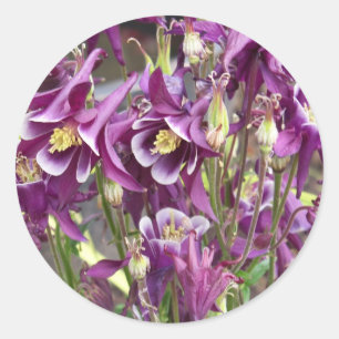 Stickers Colonnes violettes et blanches