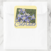 Stickers - COLORADO (Sac)