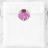 Stickers - Confleur pourpre - Echinacea (Sac)