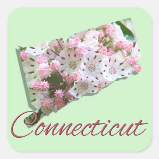 Stickers - CONNECTICUMENT (Voorkant)