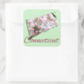Stickers - CONNECTICUT (Sac)
