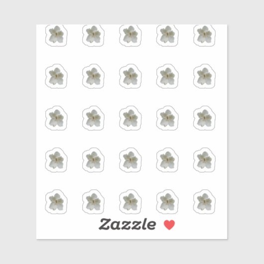 Stickers Contour Magnolia Blanc (Feuille)