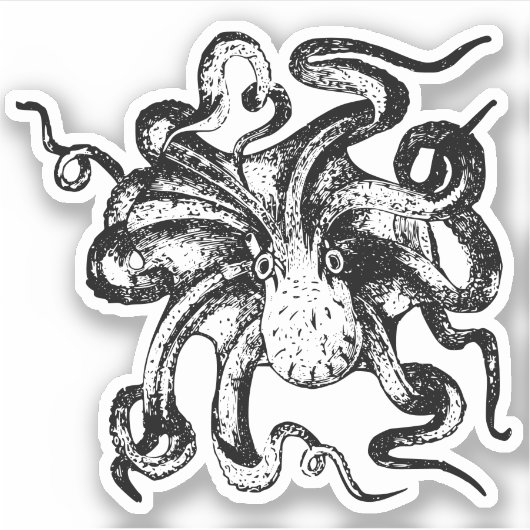 Stickers Contour Octopus (Devant)