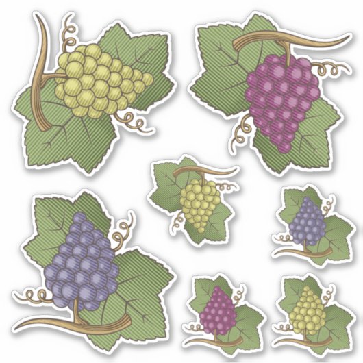 Stickers Contour Set Icon Graphe (Devant)