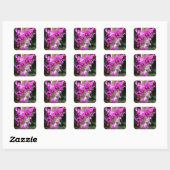 Stickers - Cooktown Orchid (Feuille)