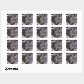 Stickers coq (Feuille)