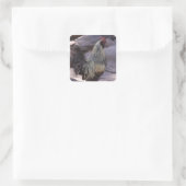 Stickers coq (Sac)