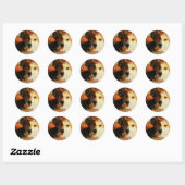 Stickers Corgi d'Halloween (Feuille)