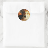 Stickers Corgi d'Halloween (Sac)