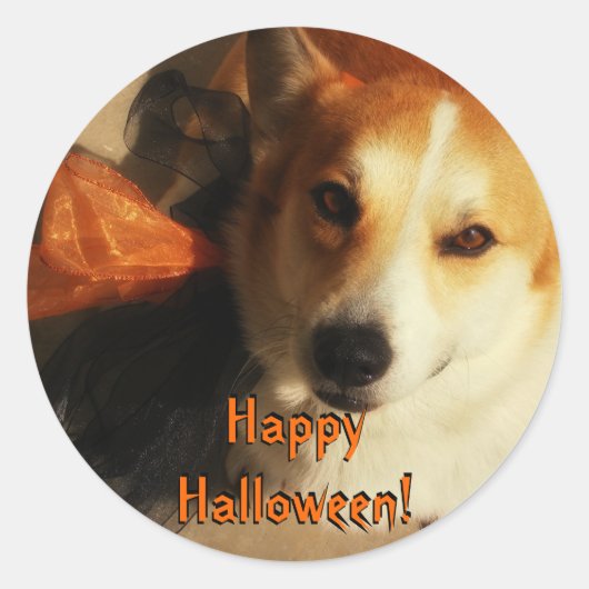 Stickers Corgi d'Halloween (Devant)