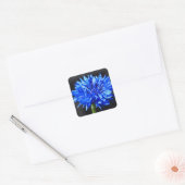 Stickers Cornflower bleu (Enveloppe)